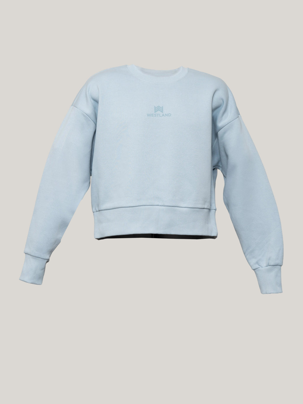 Ladies Next Level Sweatshirt