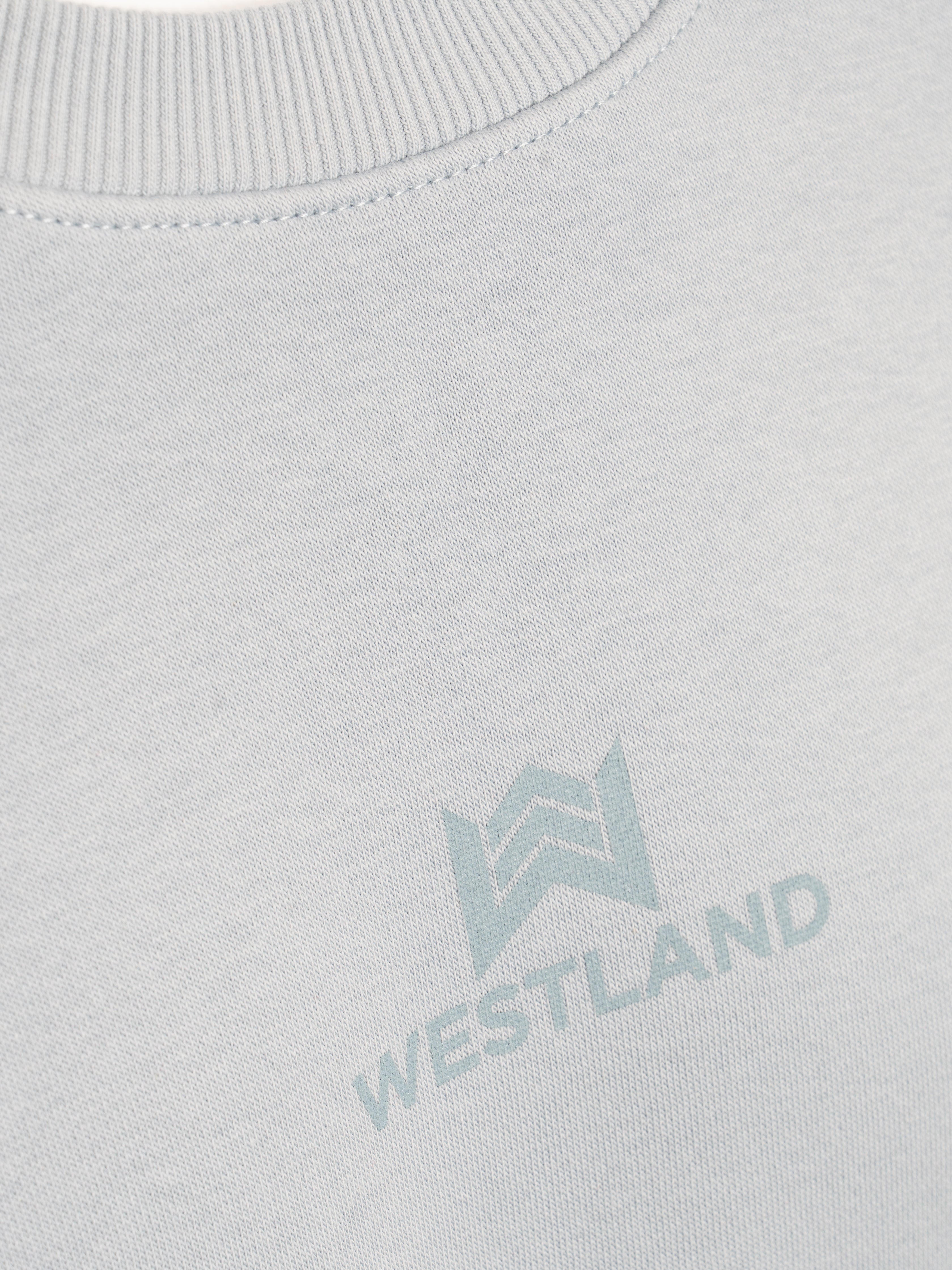 Ladies Next Level Sweatshirt